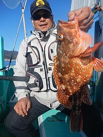 年末年始伊豆合宿 人生初ヒラメ 人生最大カサゴ へた釣り こむ