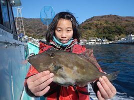 イサキのゲストで釣ったウマヅラに卵がぎっしりで 罪悪感 へた釣り こむ