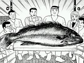 アラについて調べたらキロ1万円する本当に幻の魚みたい へた釣り こむ