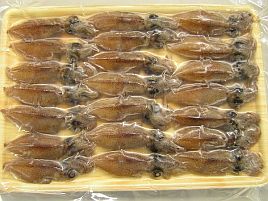 タチウオの口から大きなイカ 特餌にホタルイカはあり へた釣り こむ