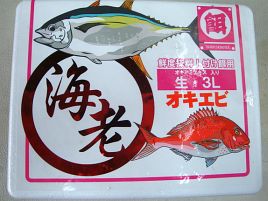 マグロ用で話題の餌 オキエビ をカイワリ用にゲットしとく へた釣り こむ