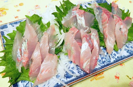 カイワリ刺しはやはり最強 霞んだ魚はゴマカルパッチョで へた釣り こむ