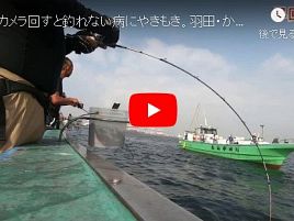 【動画】カメラ回すと魚が釣れない！ 羽田・かみやタチアジ!!