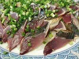 ヒラソウダ…こんな美味い魚が釣れ盛る伊豆の海恐るべし