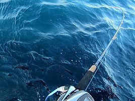 初のえいあん丸・城ヶ島沖オニカサゴは速潮に悩まされ2匹