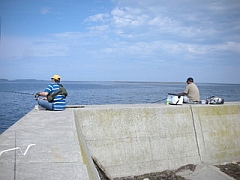 北海道の師匠2号