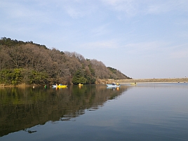 宮沢湖_ワカサギ