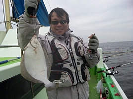 絶滅したと思い撤退してたが東京湾カレイ今年は釣れてる