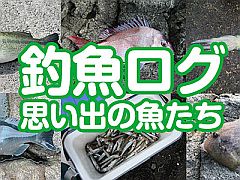 釣魚ログ