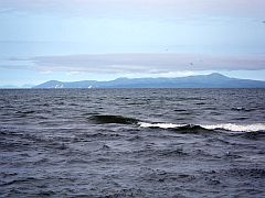 今日も風で不戦敗……すっかり釣りに行かない釣りブログに