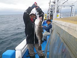 釧路沖_マダラ