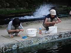 有馬温泉_ます池