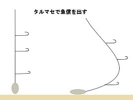 カワハギ_タルマセ_閃迅カワハギ