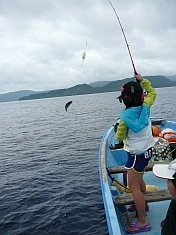 西表島2011　最終日はお土産のグルクンをウィリーサビキで