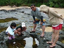 西表島2011　最終日はお土産のグルクンをウィリーサビキで