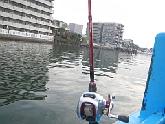 カワハギ_2011_金沢八景・一之瀬丸