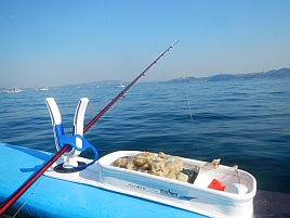 カワハギ：釣魚別インデックス