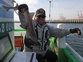 東京湾で最も残念な大物…サメ
