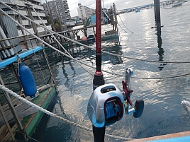 悲願の30匹超え…のはずだったのに… 閃迅カワハギ12戦目