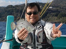 カワハギ：釣魚別インデックス