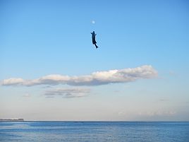 宇佐美・初津堤防_月に向かって飛ぶメジナ