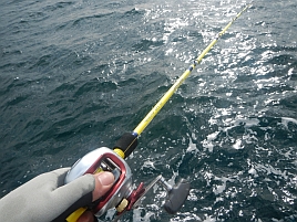 浅草釣具の東京湾エビメバル竿とマイ・ロッドを比べてみた