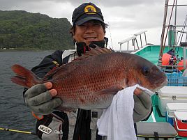 なんかマダイの釣果がすごい。長ハリスの練習に行こかな