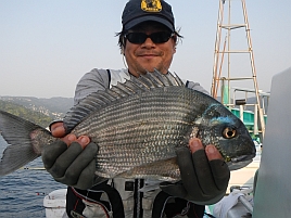 GW伊豆合宿2012　マダイ→クロダイと来てトドメはヘダイ！