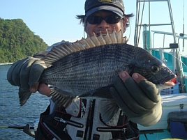 GW伊豆合宿2012　カイワリ残念。でもクロダイゲットで満足