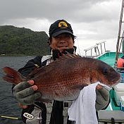 宇佐美沖ウィリー五目_マダイ