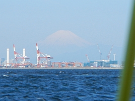 江戸前釣りサーキット大会のマゴチの部_富士山