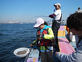 釣場速報_東京湾LTアジ体験会