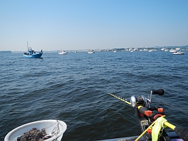 釣場速報_東京湾LTアジ体験会