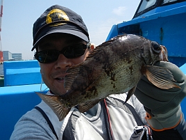 日中のエビメバル釣りが暑くなると終了する理由が分かったよ