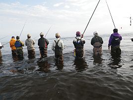 止別海岸_アキアジ