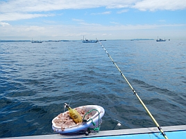 ウィリー：釣法別インデックス