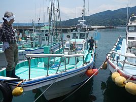 あまく見ていた伊豆の海に思わぬ苦戦。なんとかカイワリ2匹