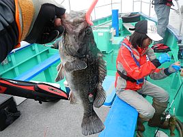 タイラバに魚信なし。なんとかクロソイゲットだぜぇ～でホッ!?