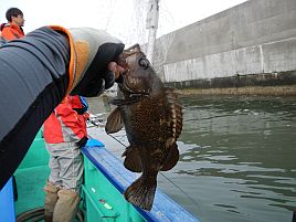 釧路・よしまる_北海道遠征2012