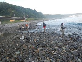 知床_北海道遠征2012_カラフトマス