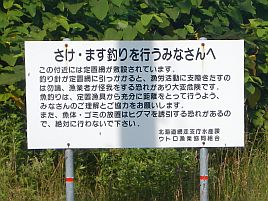 カラフトマスのバイトがないときの禁じられた技？を教わった