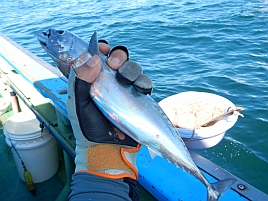 剣崎沖のイサキ釣りで人間は暑さで死ぬことがあると思い知る