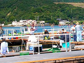 由良海上釣り掘 海人