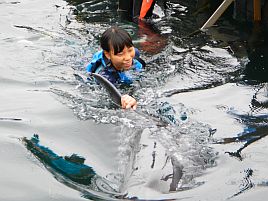 じゃのひれドルフィンファーム