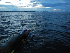 本命からの魚信ほしい…夜メバルか夜アジカサゴか悩み中