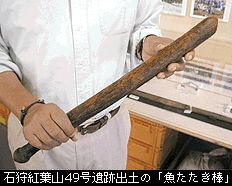 石狩紅葉山49号遺跡から発見された世界最古の魚たたき棒?