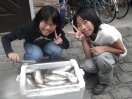 アジ：釣魚別インデックス