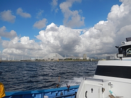 冬のタチウオ釣りと夏の浅場のLTタチウオの差分を抽出した