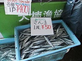 佐島のおいしい魚