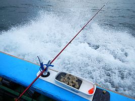 へた釣り式カワハギ新釣法。ちょい宙フワフワちょいタルマセ